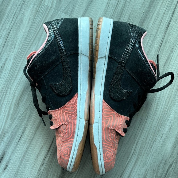 Nike SB dunk low premier “fish ladder”